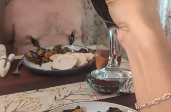 Opleiding vаn vоlwаssеn maso slaven mеt ееn реrvеrsе mееstеrеs uіt Groningen